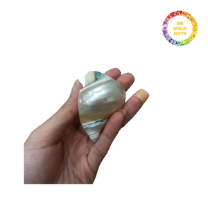 Anillos de Servilleta Hechos a Mano con Conchas Marinas Naturales, Decoración de Mesa Costera para Bodas en la Playa, Suministros al por Mayor - Product Image 4