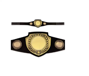 Cinturón de lucha de campeonato con logotipo personalizado Cinturones universales personalizados para equipos de artes marciales - Product Image 4