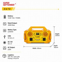 Station d'alimentation portable à énergie solaire 300W, haut-parleur Bluetooth Hi-Fi, lumières de fête, batterie LiFePO4 192Wh, radio FM, double prise AC