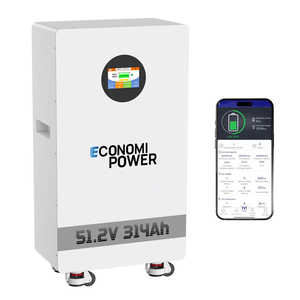 Batería de ciclo profundo LiFePO4 de 16 kWh, 48 V, 314 Ah con BMS de 200 A, para almacenamiento de energía solar doméstica - Product Image 1