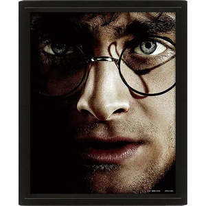 For Harry Potter 3D <b>Poster</b> Harry VS Voldemort for Office Decor & Accessories - Product Image 1