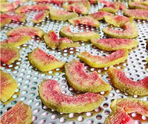 Trozos de Guayaba Deshidratada con Bajo Contenido de Azúcar, Textura Masticable, Refrigerio Saludable de Fruta para Empaquetado Minorista y Exportación al por Mayor - Product Image 2