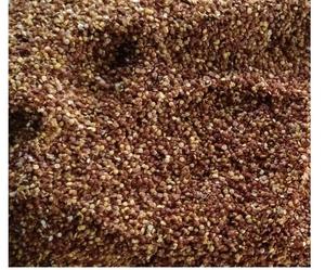 Poudre de Mimosa Pudica Pure 100% provenant de l'inde - Product Image 5