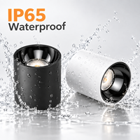 Plafonnier LED COB encastré IP65 9W 12W 15W 25W 36W Cylindre pour plafond extérieur commercial