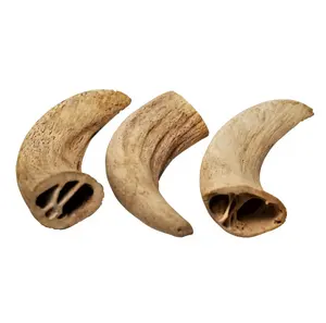Buffalo Bone Core für Hunde kau futter Natural Dog Treat Chew Bone Bestseller Core Animal Kalzium knochen Made in India