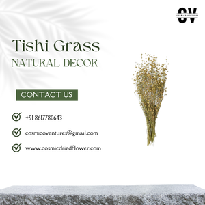 Decoración Ecológica y Duradera de Hierba Tishi Seca Natural para Navidad, Bodas, Día de San Valentín, Día de la Madre, Pascua, Romántica - Product Image 3