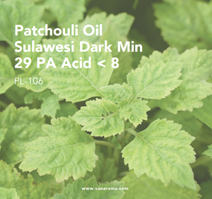 Aceite de Pachulí de Alta Calidad para Aromaterapia, Sulawesi Oscuro, Mínimo 29% Ácido PA, < 8 (PL-106), Aroma a Vainilla - Product Image 2