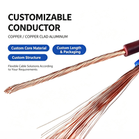 RVVP CCA Abgeschirmtes Signalkabel Kupfer-Aluminium-Verbunddraht GB IEC Standard Steuerungs-Installationskabel
