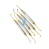 Kit d'instruments dentaires en acier inoxydable de haute qualité 5 pièces Sinus Lift Fabricant d'instruments dentaires