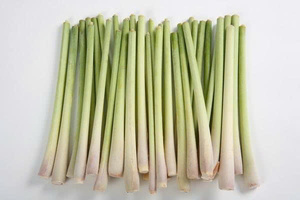 HOT DEAL FOURNISSEUR EN GROS CITRONNELLE CONGELÉE QUALITÉ D'EXPORTATION BIO NATUREL PRÊT À CUIRE - Product Image 5