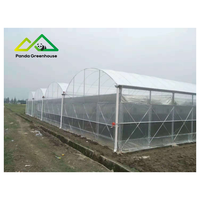Hotsales Grote Multi-Span Foliekas Eenvoudige Montage Commerciële Schaal Polyethyleen Structuur voor Hoge Opbrengst Groenten Fruit