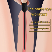 Vibromasseur pour homme, plug vibrant pour pénis, cathéter urétral en silicone, recharge USB, bâton œil-de-cheval, jouets sexuels pour adultes