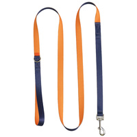 Produits pour animaux de compagnie écologiques de luxe personnalisés, palette de couleurs tendance, matériau recyclé RPET, laisse pour chien avec deux poignées