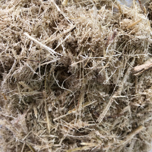 Bagasse de canne à sucre vietnamienne - EXCELLENT pour les approvisionnements en vrac écologiques et économiques - Product Image 4