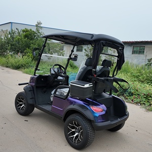 Voiturette de golf électrique tout-terrain 2 places 48V 5KW neuve et à prix réduit en vente - Product Image 1
