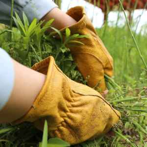 Gants de travail en cuir thermique robustes pour hommes Gants de jardinage Thornproof pour hommes et femmes pour le jardinage - Product Image 2