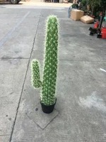 Plantes et ornements en pot de cactus en plastique pour décoration intérieure haut de gamme