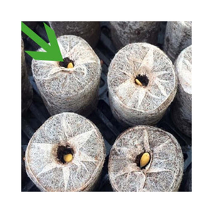 Noyau pur de noix de coco jiffy pour jardin de graines plantées fabriqué en vietnamien - Product Image 1