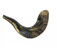 Shofar en corne de mouton / Kudu / Corne de bélier / Shofar poli - Matériau organique de haute qualité au toucher réel, taille personnalisée, historique et culturel