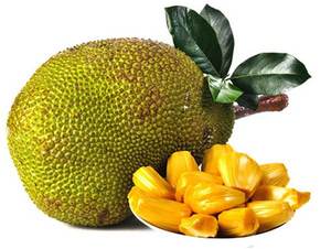 ขนมขนุนแห้งแบบออร์แกนิกไม่ผ่านการอบแห้งจากเวียดนาม - Product Image 2