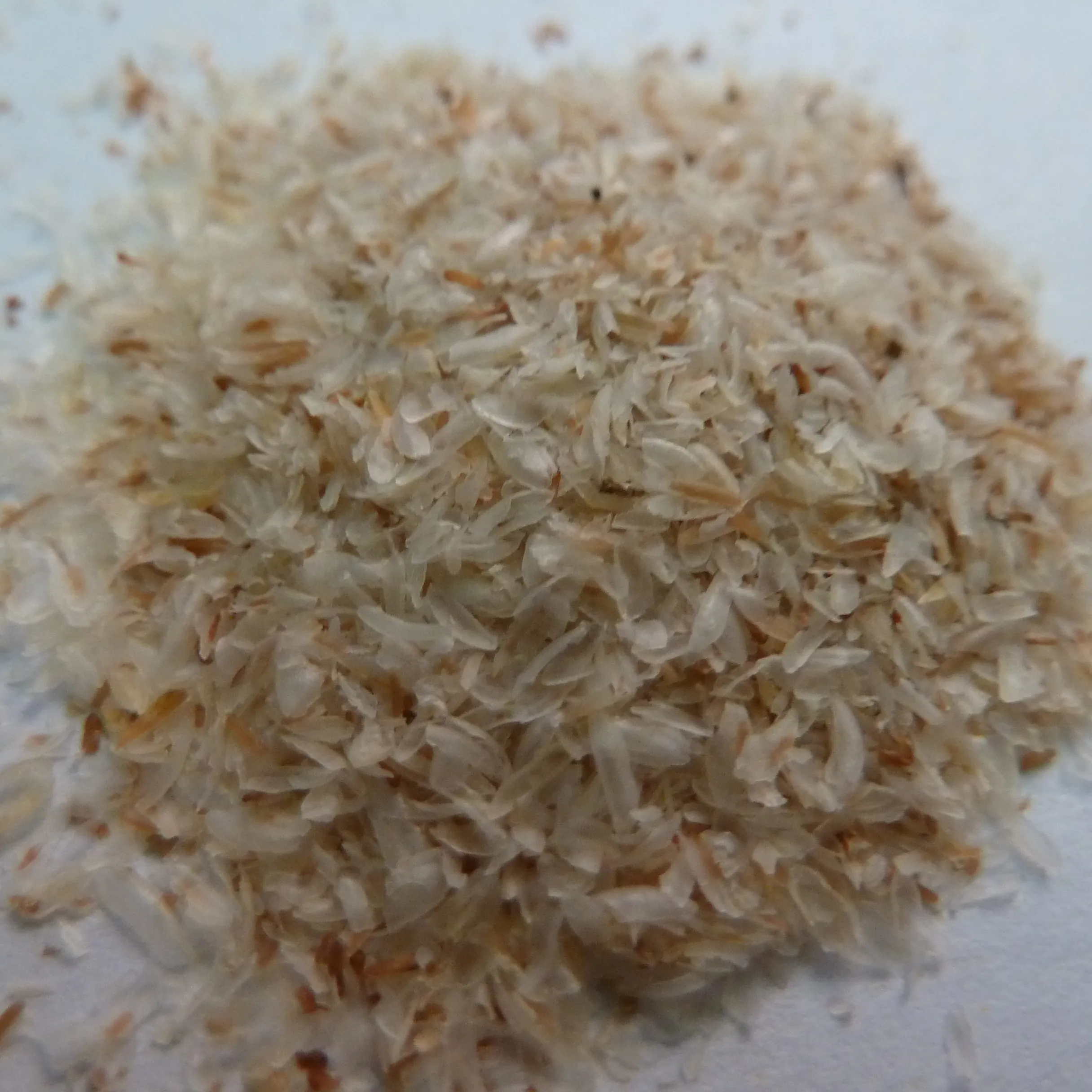 Organic price psyllium seed husks extract pulveris 99% bulk Psyllium husk powder