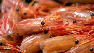 Poudre de coquille de crevettes du Vietnam de qualité supérieure |   Minéraux et protéines riches |   Utilisation dans l'agriculture, l'aquaculture et l'industrie des aliments pour animaux - Product Image 4