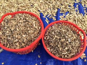 ขิงแห้งออร์แกนิกแบบแผ่นคุณภาพสูงสำหรับส่งออก - Product Image 4