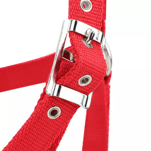 Cabestro de caballo de 6mm de espesor, ajustable, rojo, marrón, estilo occidental, hecho de nailon de alta densidad - Product Image 4