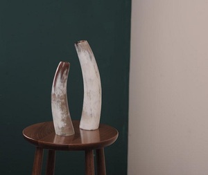 แจกันดอกไม้ทำมือจากเขาควายแท้ ขนาดสั่งทำได้ งานแกะสลักลายดอกไม้  กระถางปลูกต้นไม้  สำหรับใช้ในบ้าน  ใช้งานได้หลากหลาย  ลดราคาพิเศษ - Product Image 1