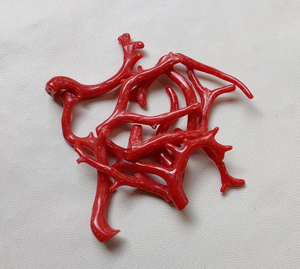 ¡Coral! Piedra preciosa de Coral italiano Natural 100%, ramas de palitos de Coral rojo, ramas de Coral bien pulidas de calidad AAA, palitos de Coral - Product Image 5