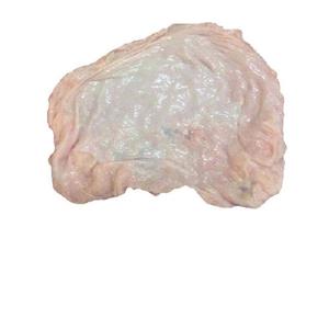 Meilleurs prix de graisse de porc congelé - Product Image 1
