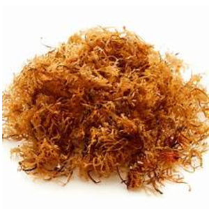 High Quality Best Price Dried Seamoss Wildcrafted Sea Moss with OEM Packaging from Vietnam - Product Image 3
