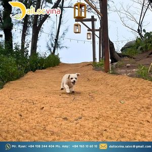 ESTERA DE FIBRA DE COCO VIETNAMESA UTILIZADA PARA EXTERIOR E INTERIOR - Product Image 6