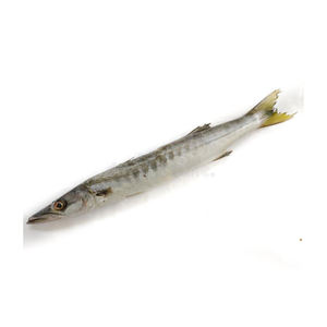 Poisson Barracuda frais congelé à bas prix - Product Image 2