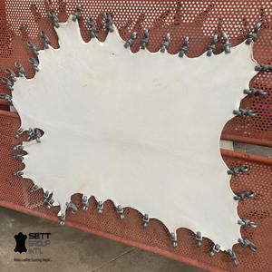 Full Hide Natural BuffaloSkin Settgroup Vellum Parchment Buffalo Bleached White Waterproof Durable <b>Furniture</b> Accessories Trusted - Product Image 1