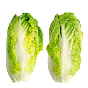 Lechugas Verduras para ensaladas, sopas, sándwiches, envolturas y parrilla: Los proveedores mayoristas y a granel más vendidos - Product Image 2