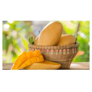 Mangues jaunes fraîches de ferme, qualité A, 12-16 cm, 0,5 kg, tropicales, Portugal - Product Image 4