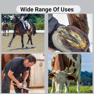 Ensemble d'outils professionnels en acier inoxydable pour le soin des sabots de cheval, pince à clincher, râpe, marteau, couteau, tampon pour utilisation en clinique vétérinaire - Product Image 5