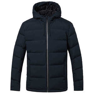 Wholesale Men's High Street Autumn Coated Eco-Friendly <b>Woven</b> Puffer Jackets Hooded Stand Collar Windproof Design Custom Logo - Product Image 1