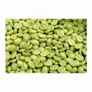 Granos de Café Verde 100% Arábica, Especialidad Vietnamita, Certificación ISO, Proceso Natural, Alta Calidad - Product Image 3