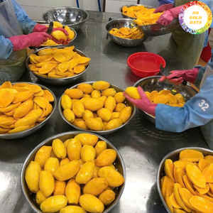 Mangue surgelée IQF fraîche et biologique, entière et en morceaux, conservation de l'eau, -18 degrés, exportation en gros, emballage en vrac - Caryln - Product Image 5