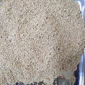 Graines de sésame décortiquées en vrac biologiques, styles frais et séchés, traitement brut pour usage alimentaire - Product Image 5