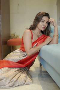 Vesta exporta un exclusivo Sari completo con borde Jacquard con Rich Pallu & Jacquard Work para ocasiones de fiesta diseñado para adultos - Product Image 3