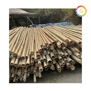 Poteau en bambou économique pour treillis, aménagement paysager et fabrication artisanale avec une qualité constante et des performances solides - Product Image 5