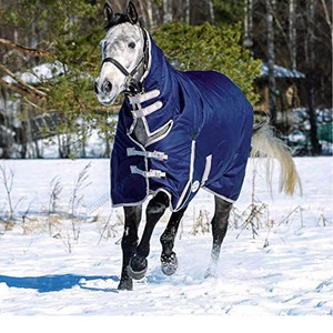 Mantas para Caballos de Malla con Diseño Personalizado, Recién Llegadas, a Bajo Precio, Impermeables para Invierno, Secado Rápido, 100% Poliéster - Product Image 1