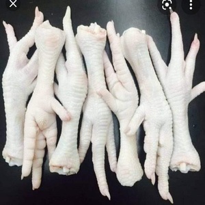 Achetez des pieds et des pattes de poulet congelés de Thaïlande, qualité supérieure, cuits et rôtis, livraison rapide, vente en gros, meilleure qualité - Product Image 1