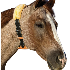 Meilleur collier de criblage personnalisé calage de cheval dissuasif doublure douce et boucle en acier inoxydable antirouille sangle de dissuasion de criblage - Product Image 6