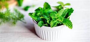 ใบสะระแหน่สดจากธรรมชาติบริสุทธิ์จากฉลากที่สะอาดจากพืชที่มีภูมิคุ้มกันสนับสนุนและสุขภาพสมุนไพร - Product Image 6