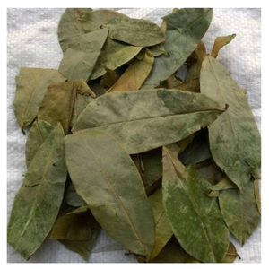 ชาใบ soursop graviola แบบแห้งธรรมชาติสำหรับชาใบกริโอลาเพื่อความผ่อนคลายและเครื่องดื่มสมุนไพรประจำวัน - Product Image 6