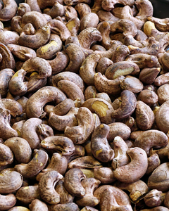 Noix de cajou grillées salées de haute qualité / Origine Vietnam - Product Image 2